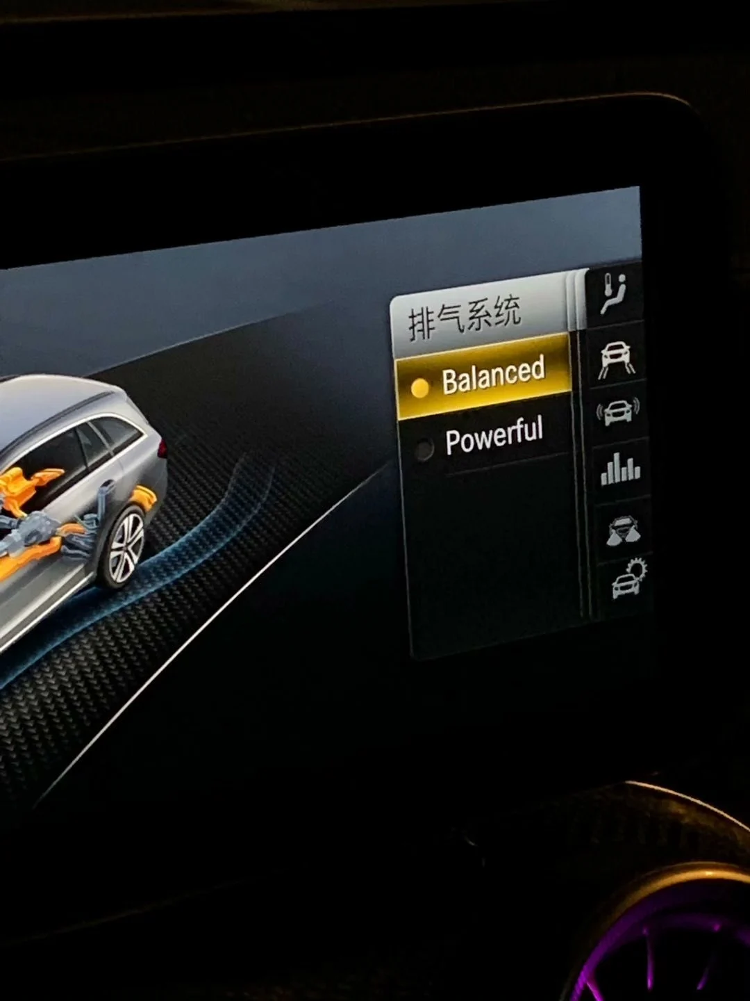 Mercedes-AMG exhaust control button