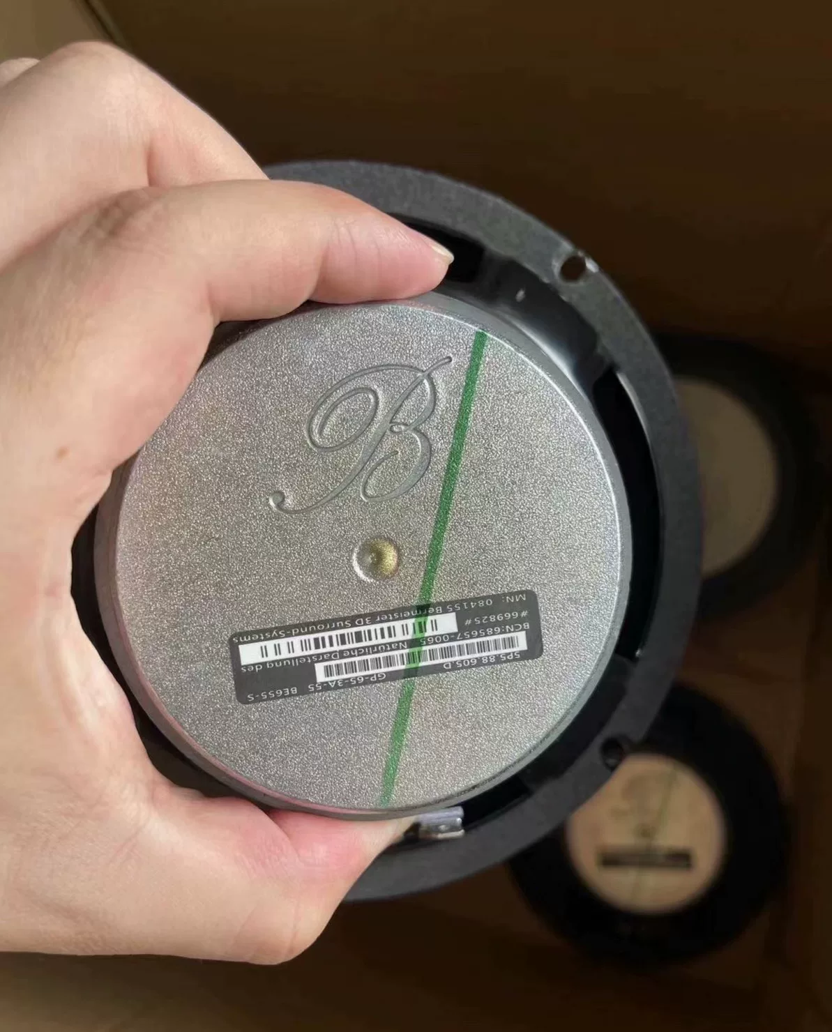 Genuine Burmester 6.5-inch Mid-Bass Speakers (Removed from Mercedes-Benz S600)